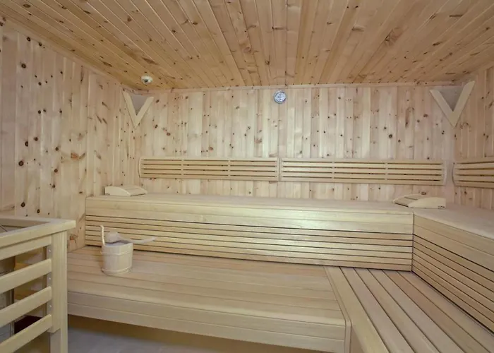 公寓 Residenz Wildkogelbahnen 16 Neukirchen am Großvenediger